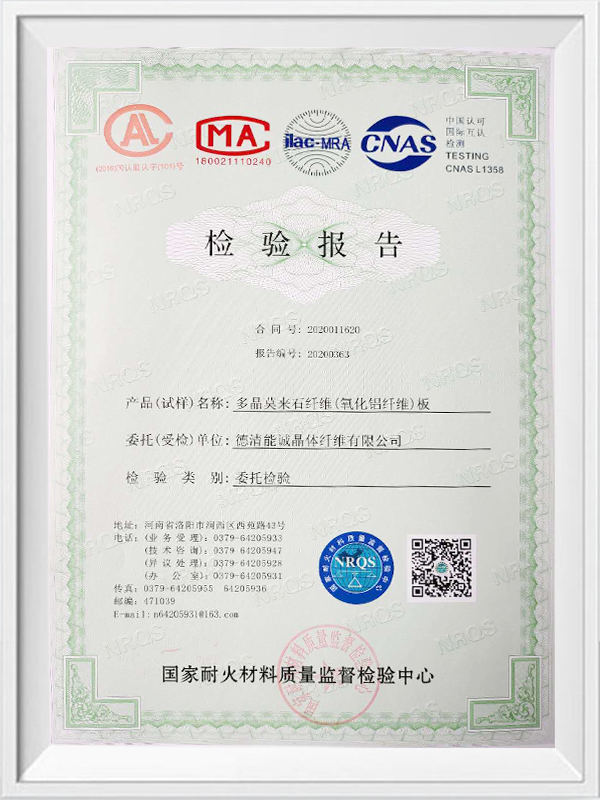 পরিদর্শন রিপোর্ট